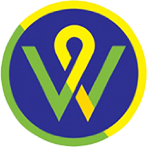 cropped-cropped-v2v-web-logo.png